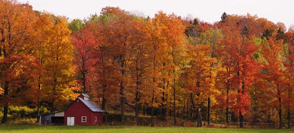 FALL IN VERMONT
